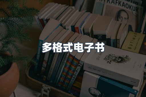 多格式电子书